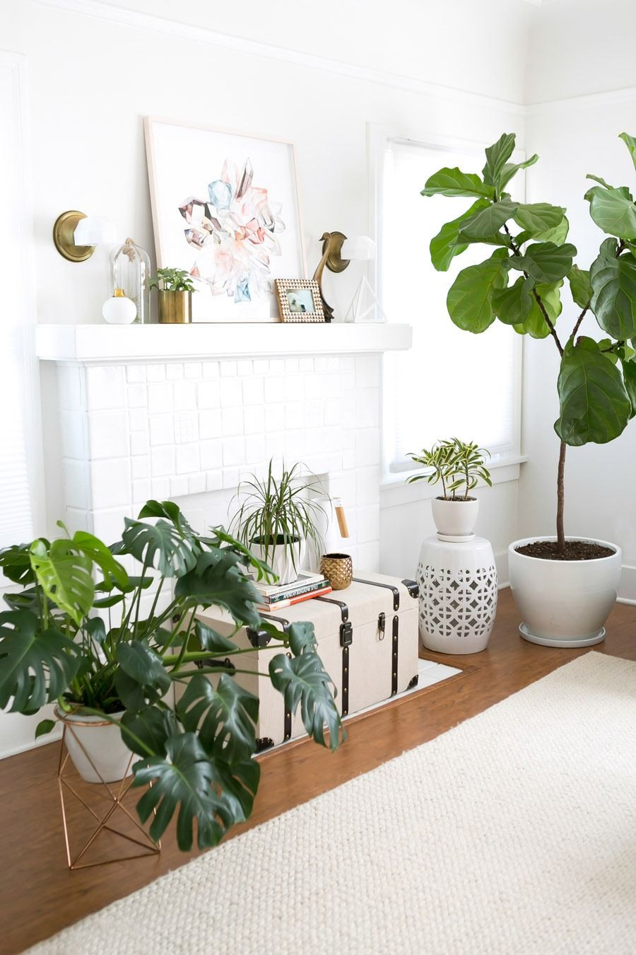 Living Room Plant Ideas
 california bohemian living room major housegoals