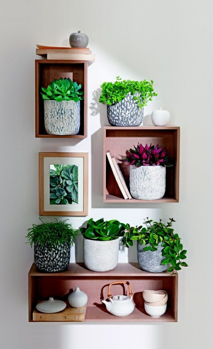 Living Room Plant Ideas
 99 Great Ideas to display Houseplants