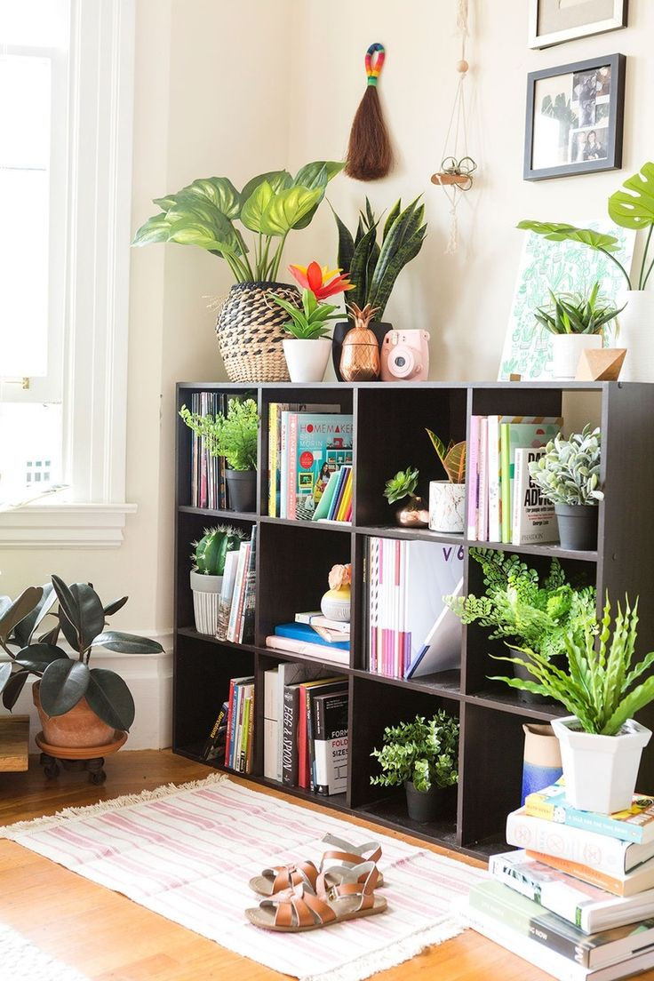 Living Room Plant Ideas
 Indoor Plants Ideas That Will Make Your Interior House