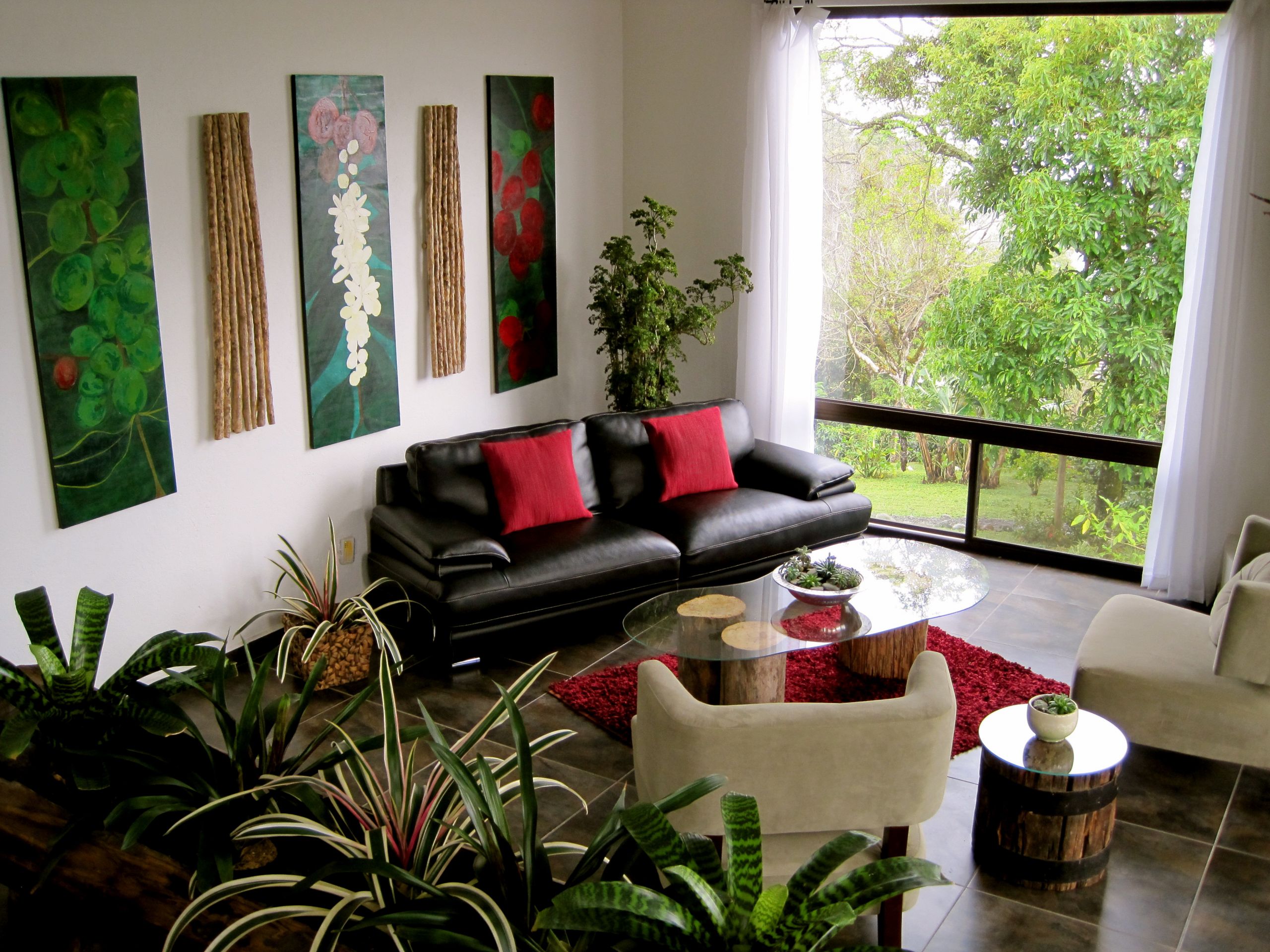 Living Room Plant Ideas
 Eight mon Indoor Plant Myths