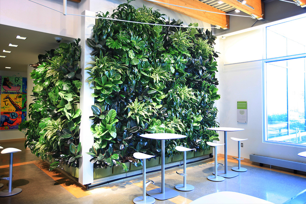 Living Wall Indoor
 Indoor Living Walls LiveWall Green Wall System