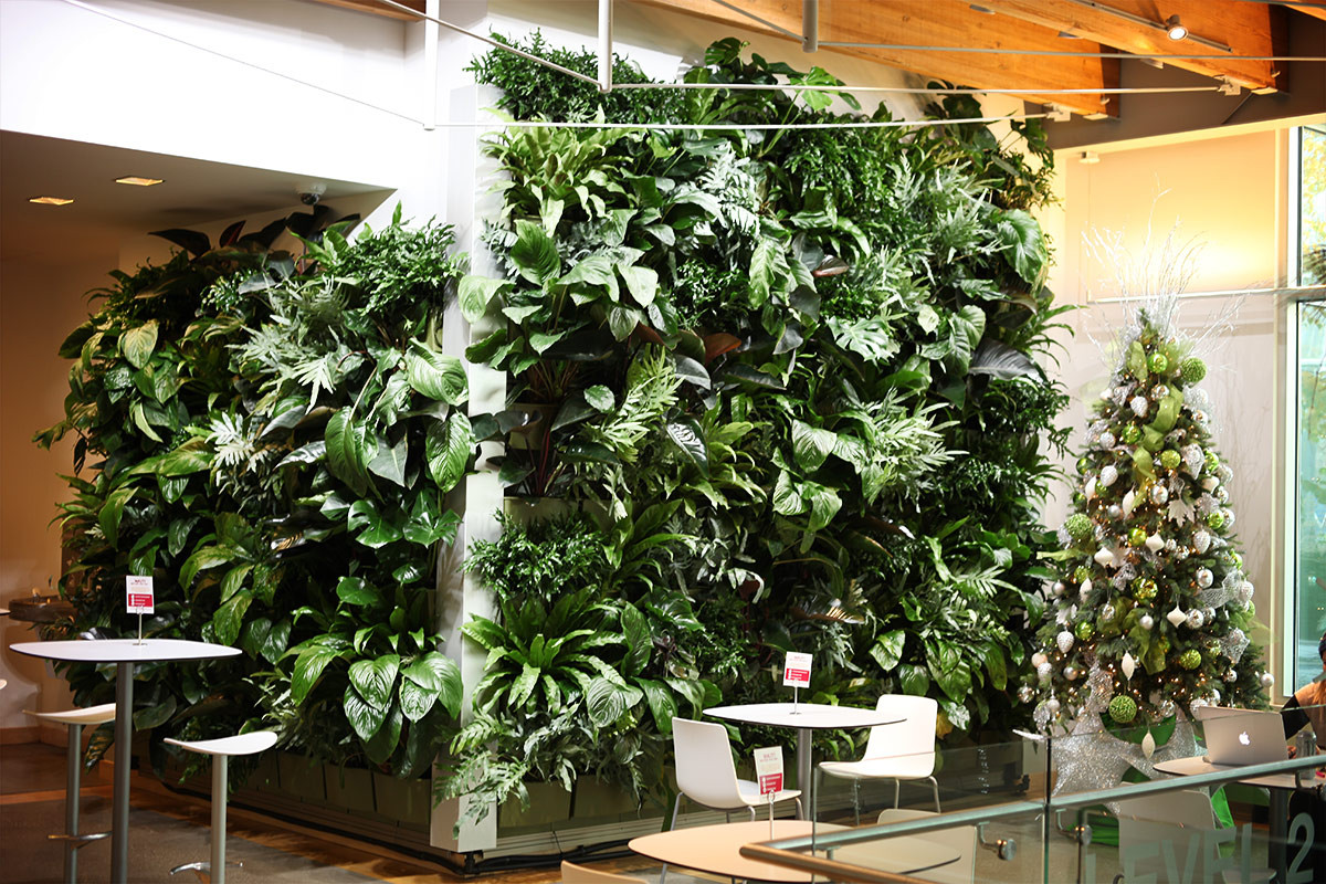 Living Wall Indoor
 Indoor Tropical Green Wall