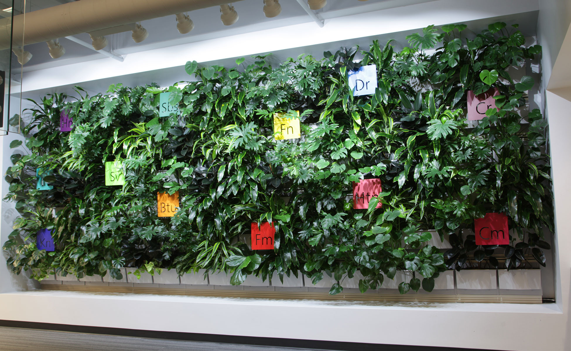 Living Wall Indoor
 Indoor Living Walls