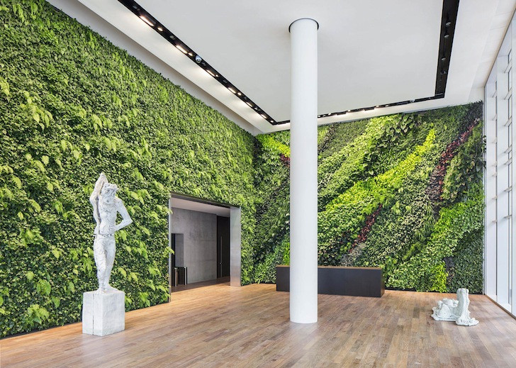 Living Wall Indoor
 Habitat Horticulture pletes largest indoor living wall