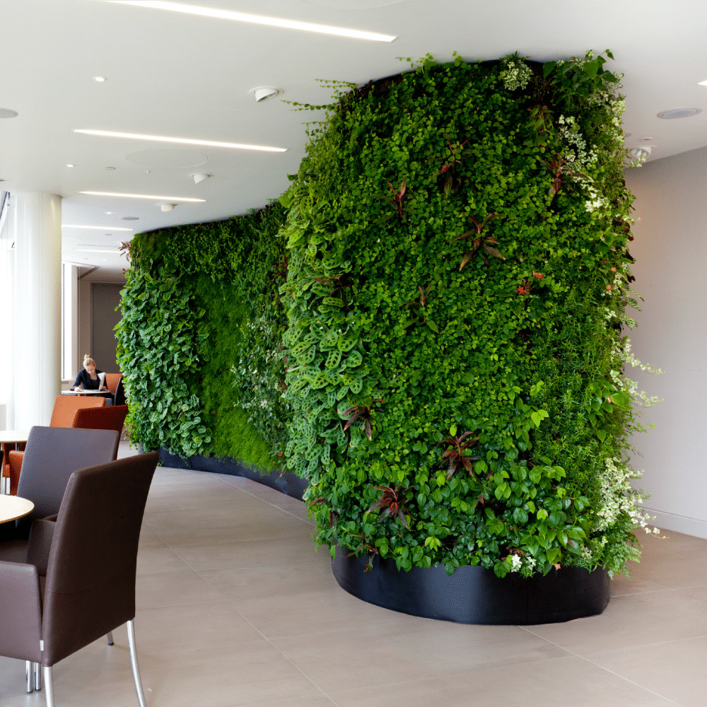 Living Wall Indoor
 Promote Wellbeing at the fice with Plants SAP Group