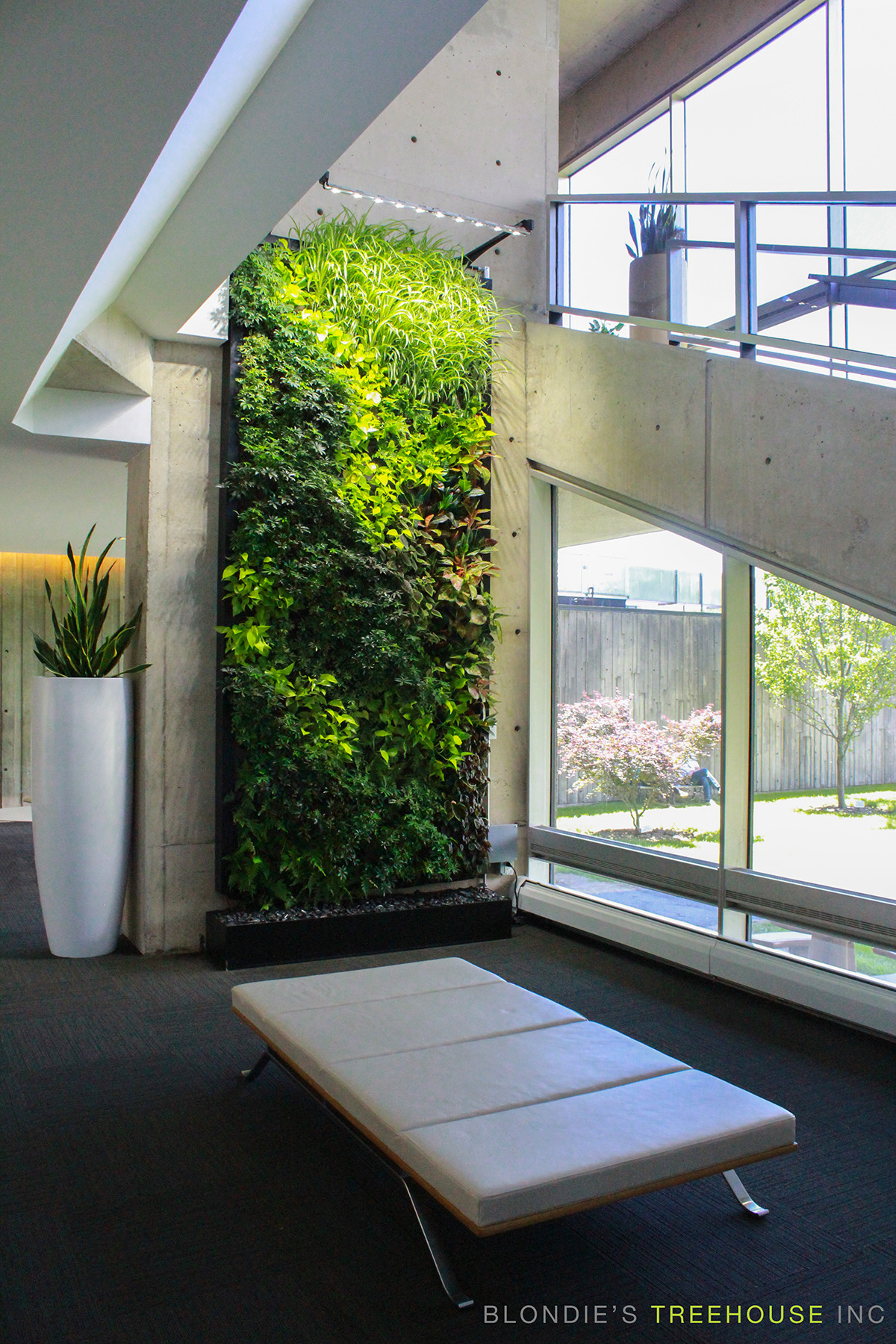 Living Wall Indoor
 SemperGreenwall Living Walls in Toronto Sempergreen