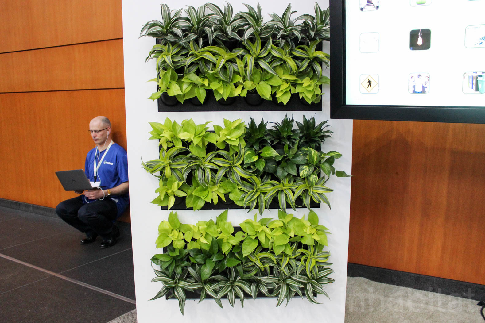 Living Wall Indoor
 Gorgeous self watering green walls add life and fresh air