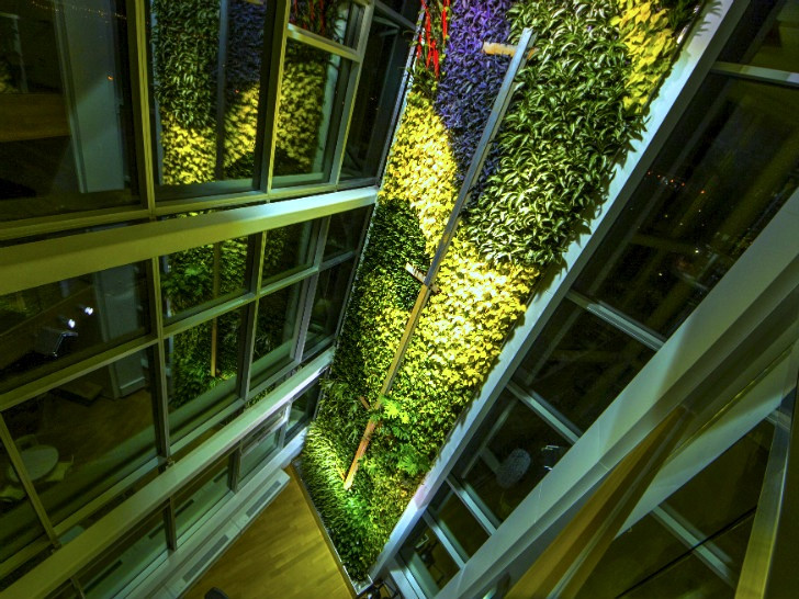 Living Wall Indoor
 The Currents in Quebec City is the Tallest Indoor Living