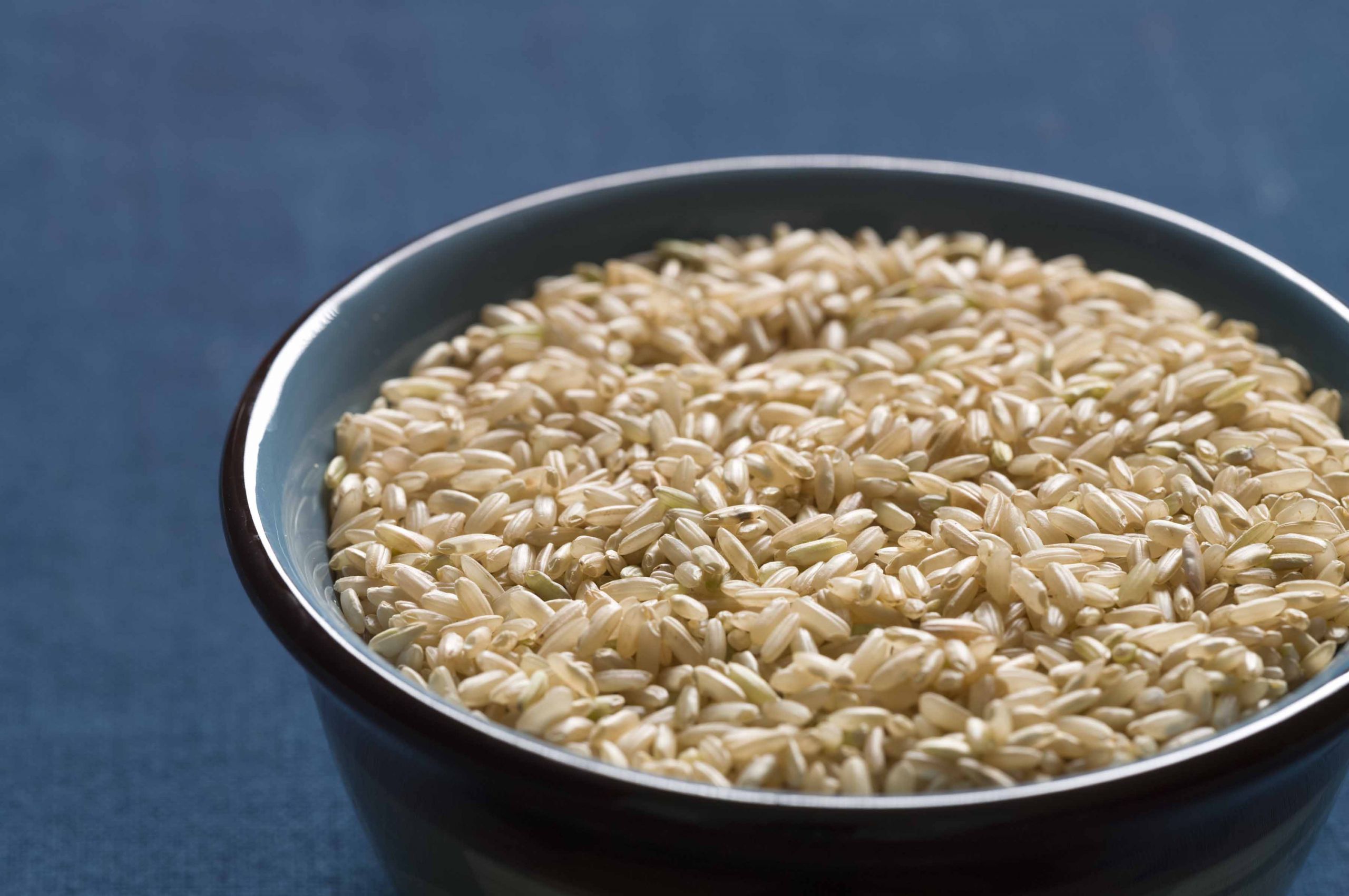 Long Grain Brown Rice
 New Jersey Grown Long Grain Brown Rice – Blue Moon Acres