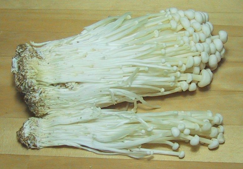 Long White Mushrooms Elegant Enokitake Of Long White Mushrooms 