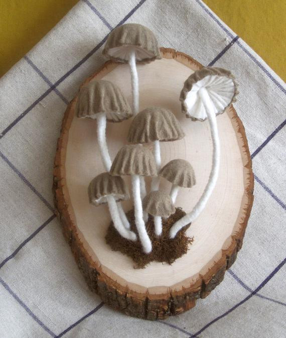 Long White Mushrooms
 Long white thin stem mushrooms on wooden plaque