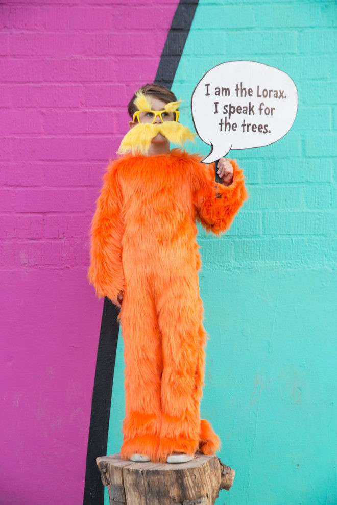 Lorax Costumes DIY
 DIY Dr Seuss The Lorax Costume The Effortless Chic