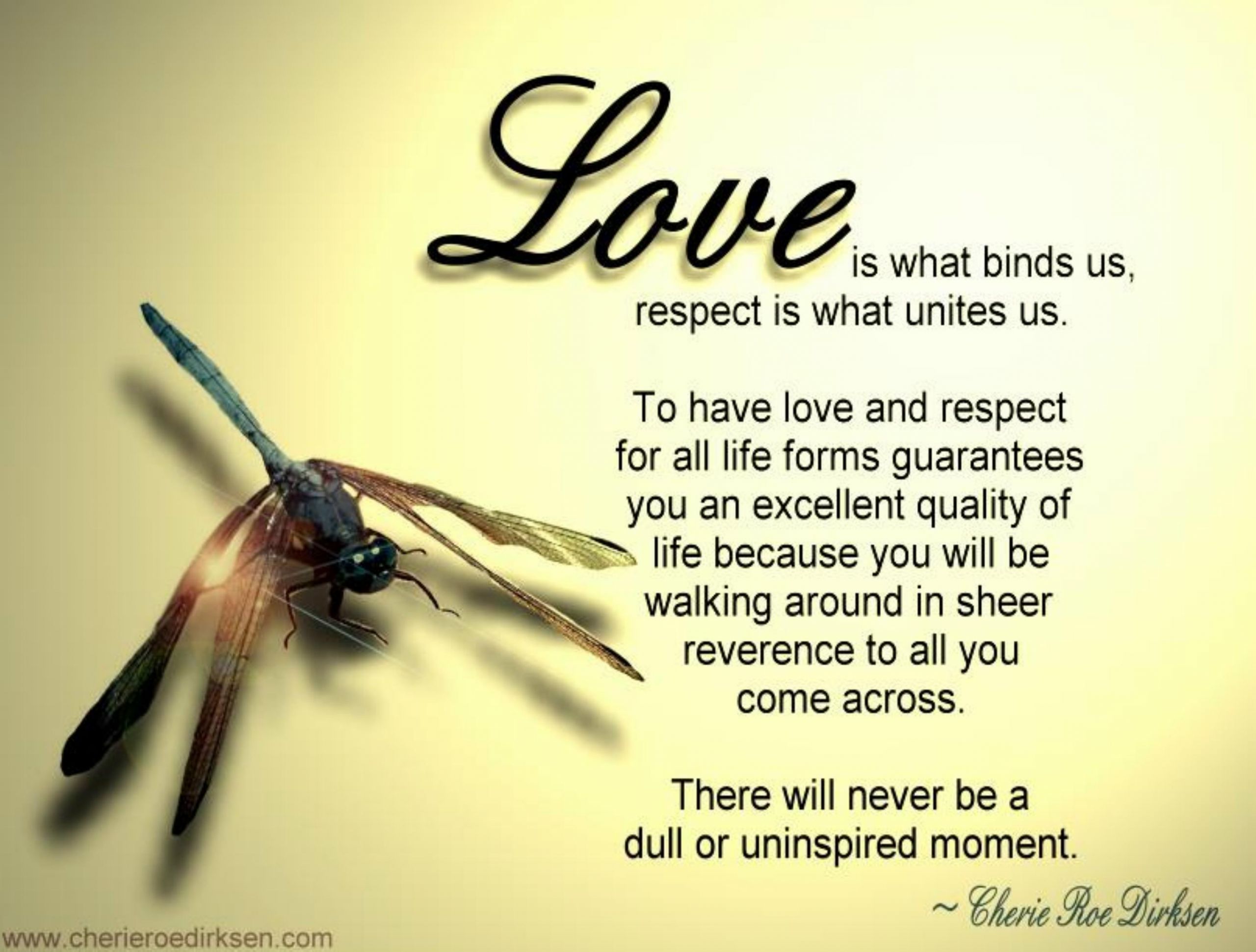 Love Quotes For Us
 Love Is What Binds Us Respect Is What Unites Us Life