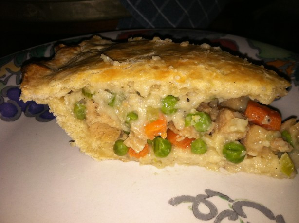 Low Calorie Chicken Pot Pie
 Chicken Pot Pie No Cholesterol And Extremely Low In Fat