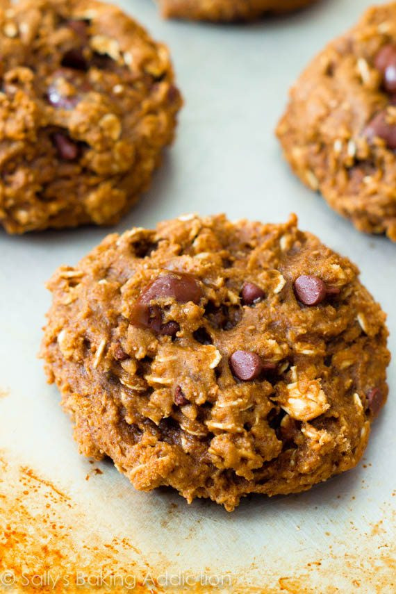 Low Cholesterol Oatmeal Cookies
 Healthy Oatmeal Raisinet Cookies Sallys Baking Addiction
