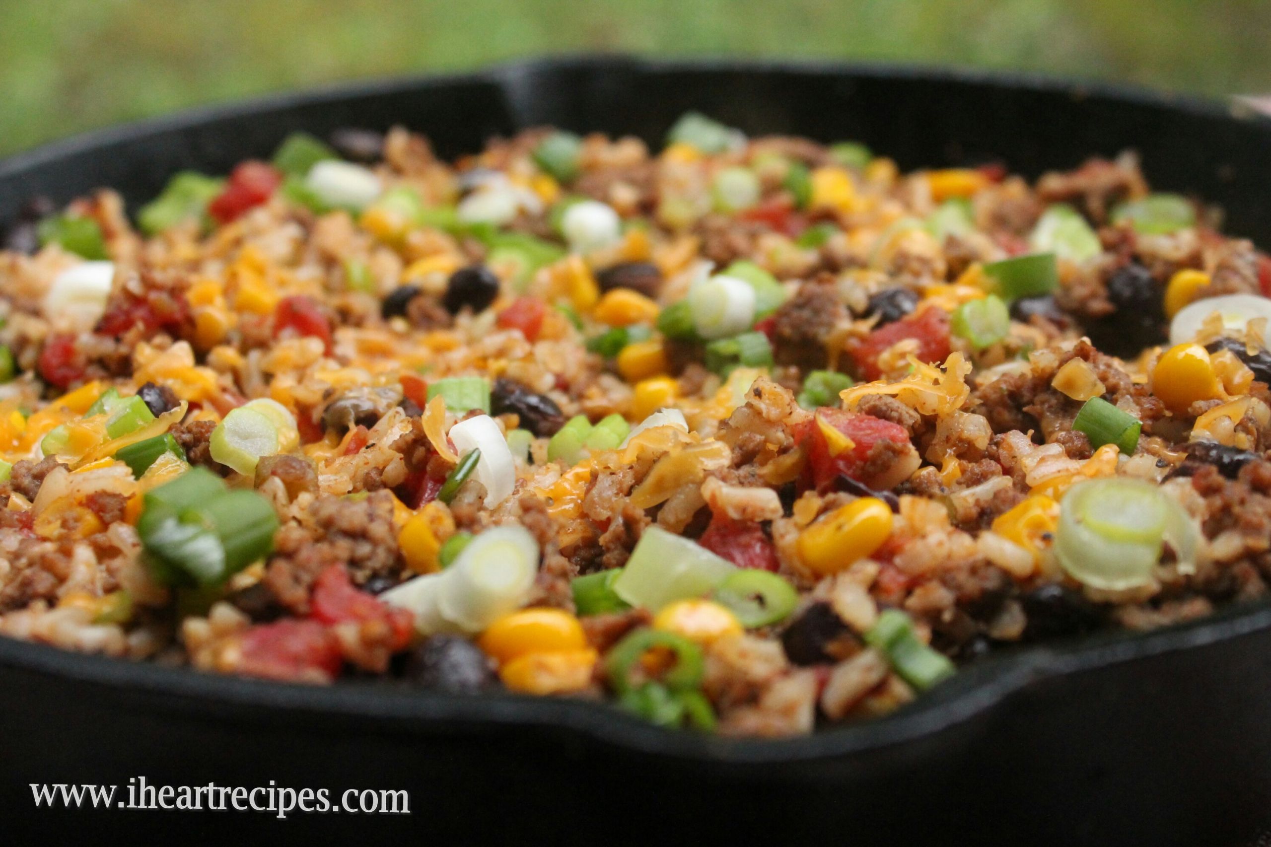 Low Fat Recipe With Ground Beef
 Tex Mex Beef Skillet