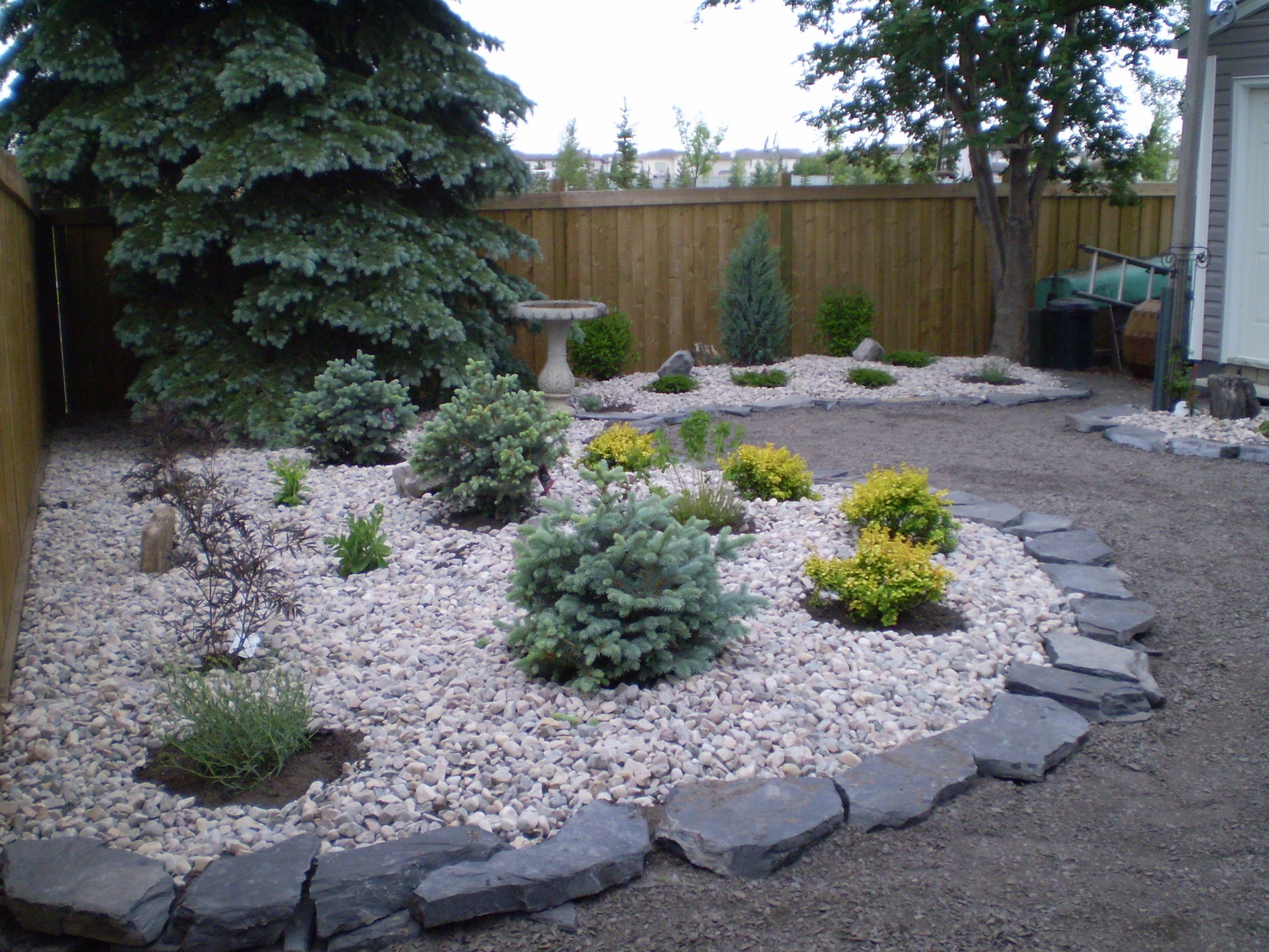 Low Maintenance Backyard Design
 Low Maintenance Landscaping – Xeriscaping