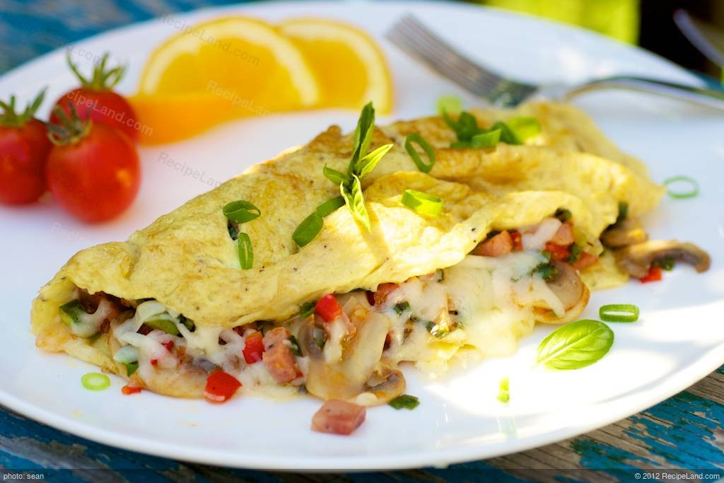 Lowfat Breakfast Recipes
 Low Fat Breakfast Omelet Recipe