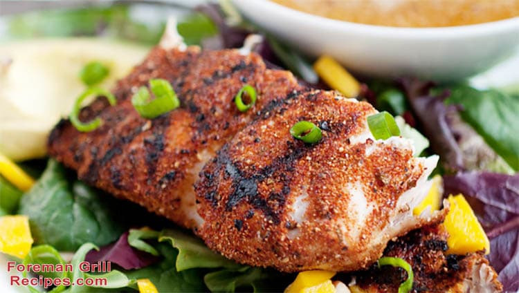 Mahi Mahi Fish Recipes
 Blackened Grilled Mahi Mahi with Fruit Salsa on a Foreman