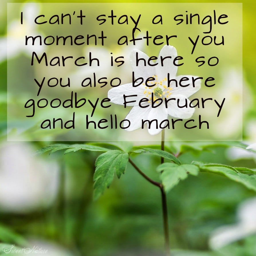 March Birthday Quotes
 Goodbye February Hello March Quotes Wishes