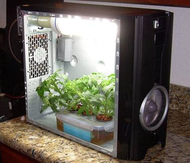 Marijuana Grow Box DIY
 24 DIY Grow Boxes to Control the Growing Environment