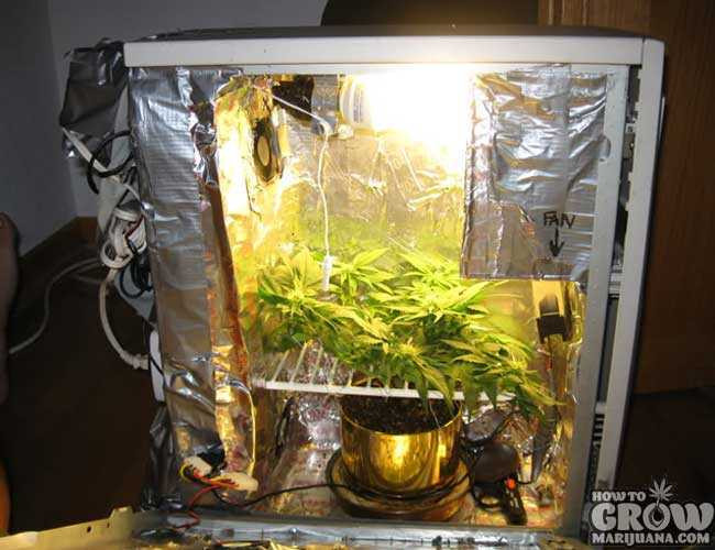 Marijuana Grow Box DIY
 PC Grow Box Review