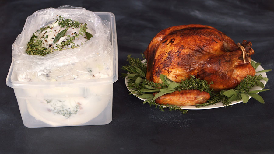 Martha Stewart Turkey Brine
 Video The Best Brine for Your Thanksgiving Turkey
