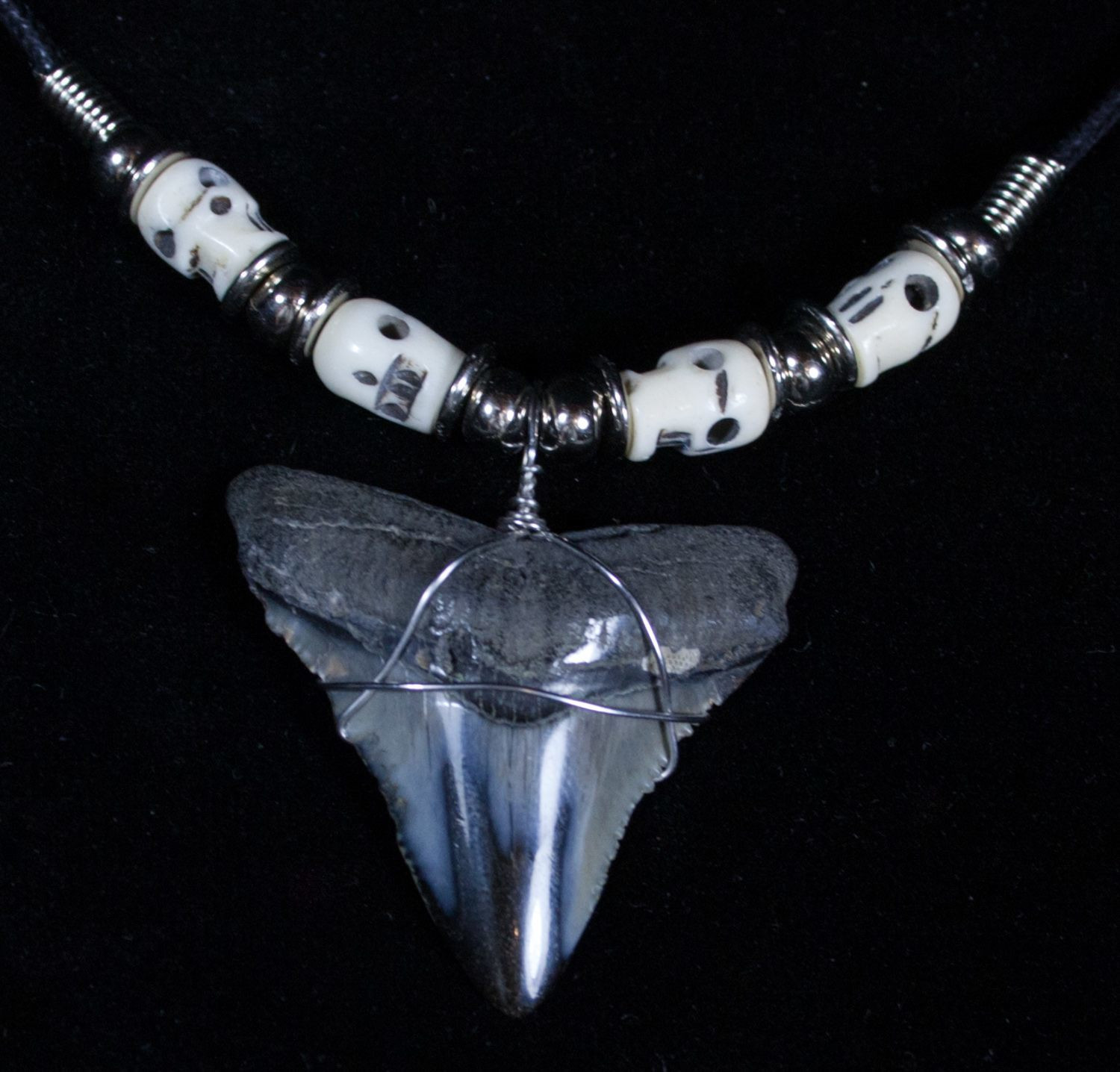 Megalodon Tooth Necklace
 Polished Megalodon Tooth Necklace For Sale 3379