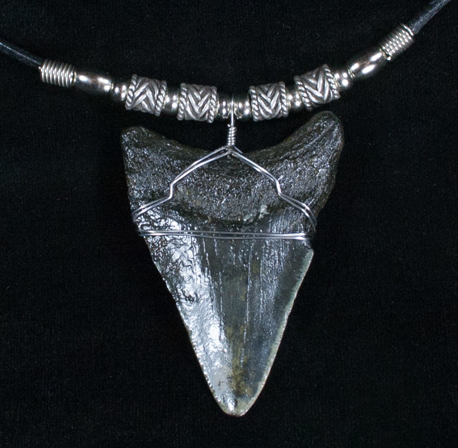 Megalodon Tooth Necklace
 Megalodon Tooth Necklace For Sale 4045 FossilEra