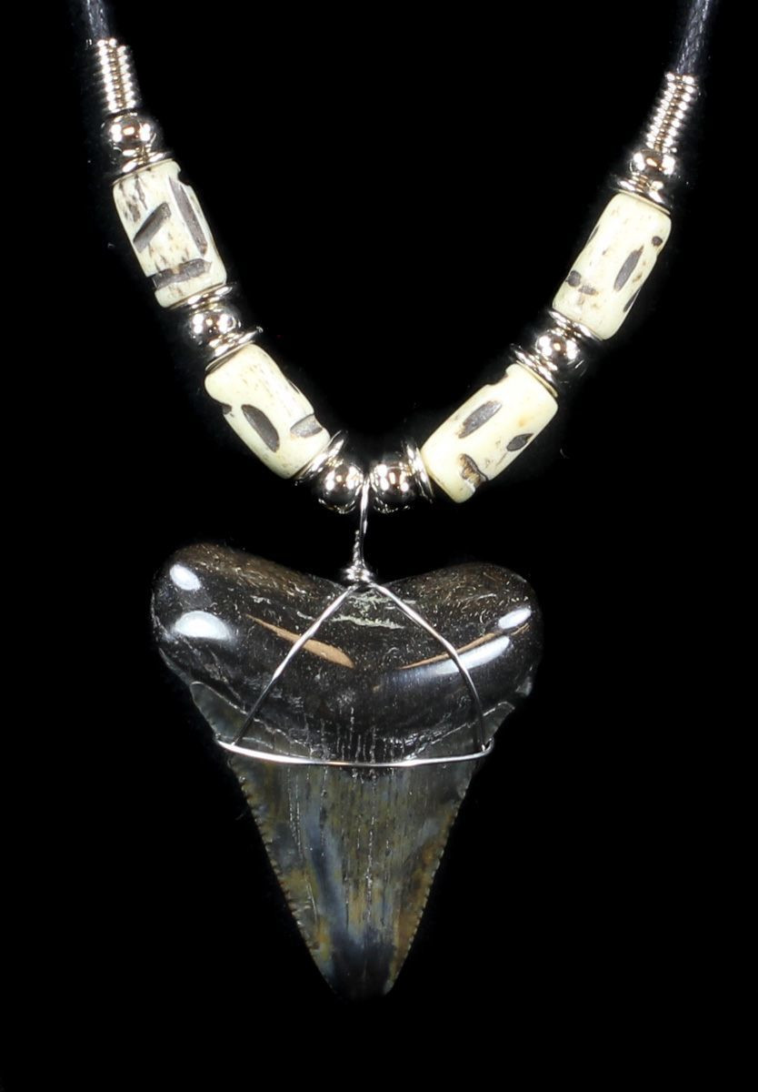 Megalodon Tooth Necklace
 1 7" Polished Megalodon Tooth Necklace For Sale