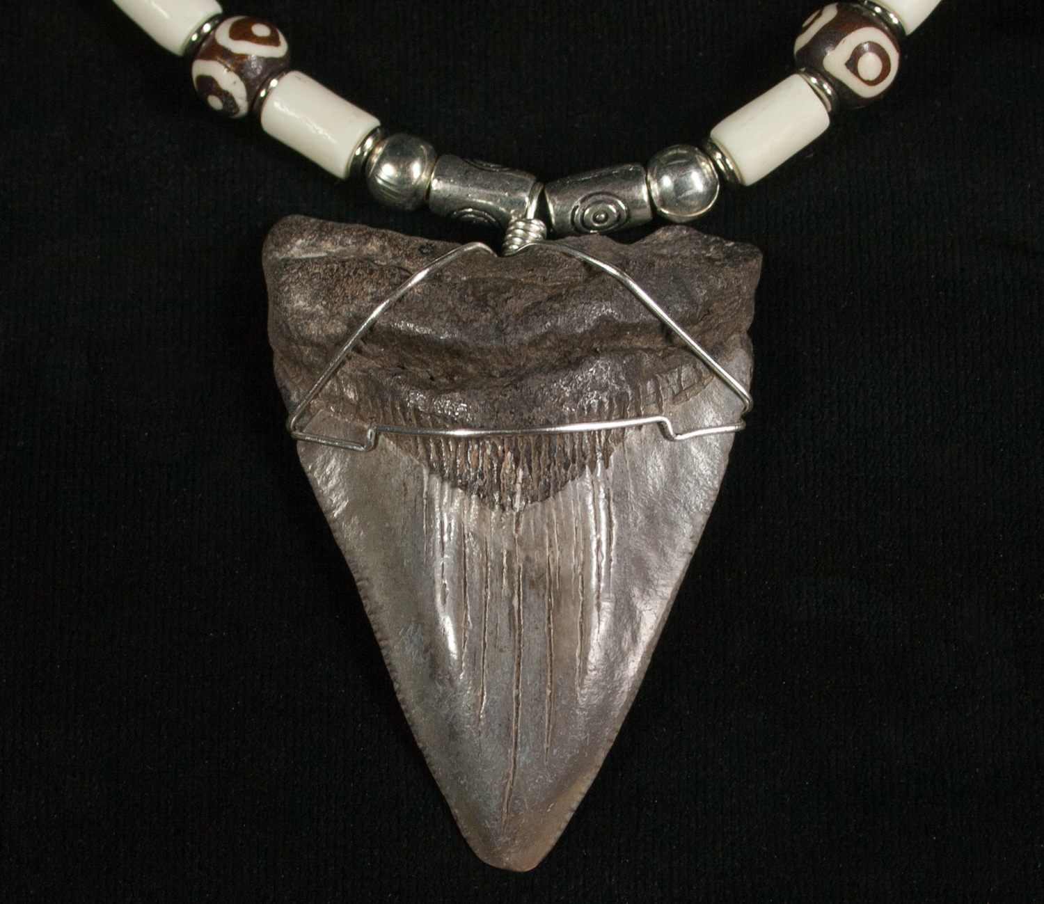 Megalodon Tooth Necklace
 Megalodon Tooth Necklace 2 2" tooth For Sale 5572