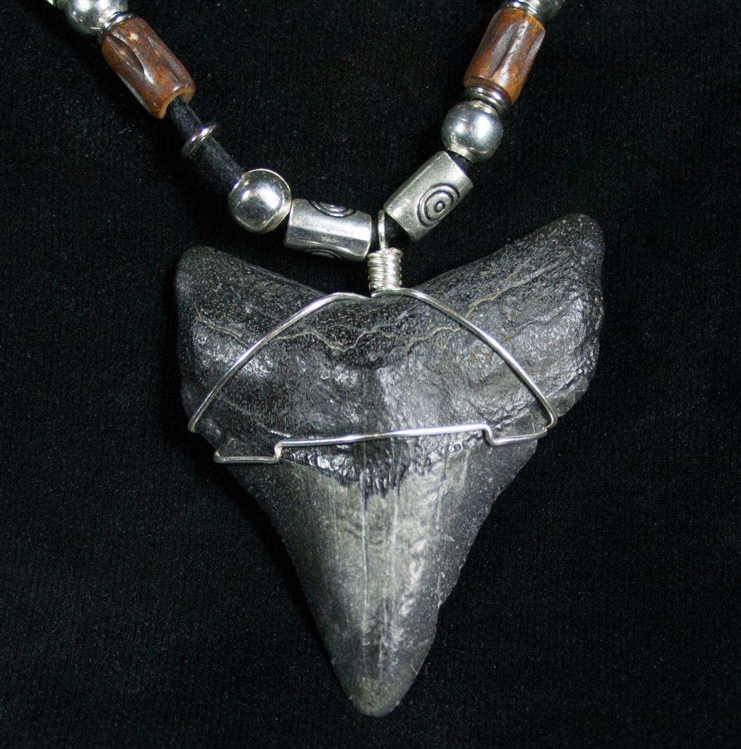 Megalodon Tooth Necklace
 Megalodon Tooth Necklace 2 1" tooth For Sale 6317