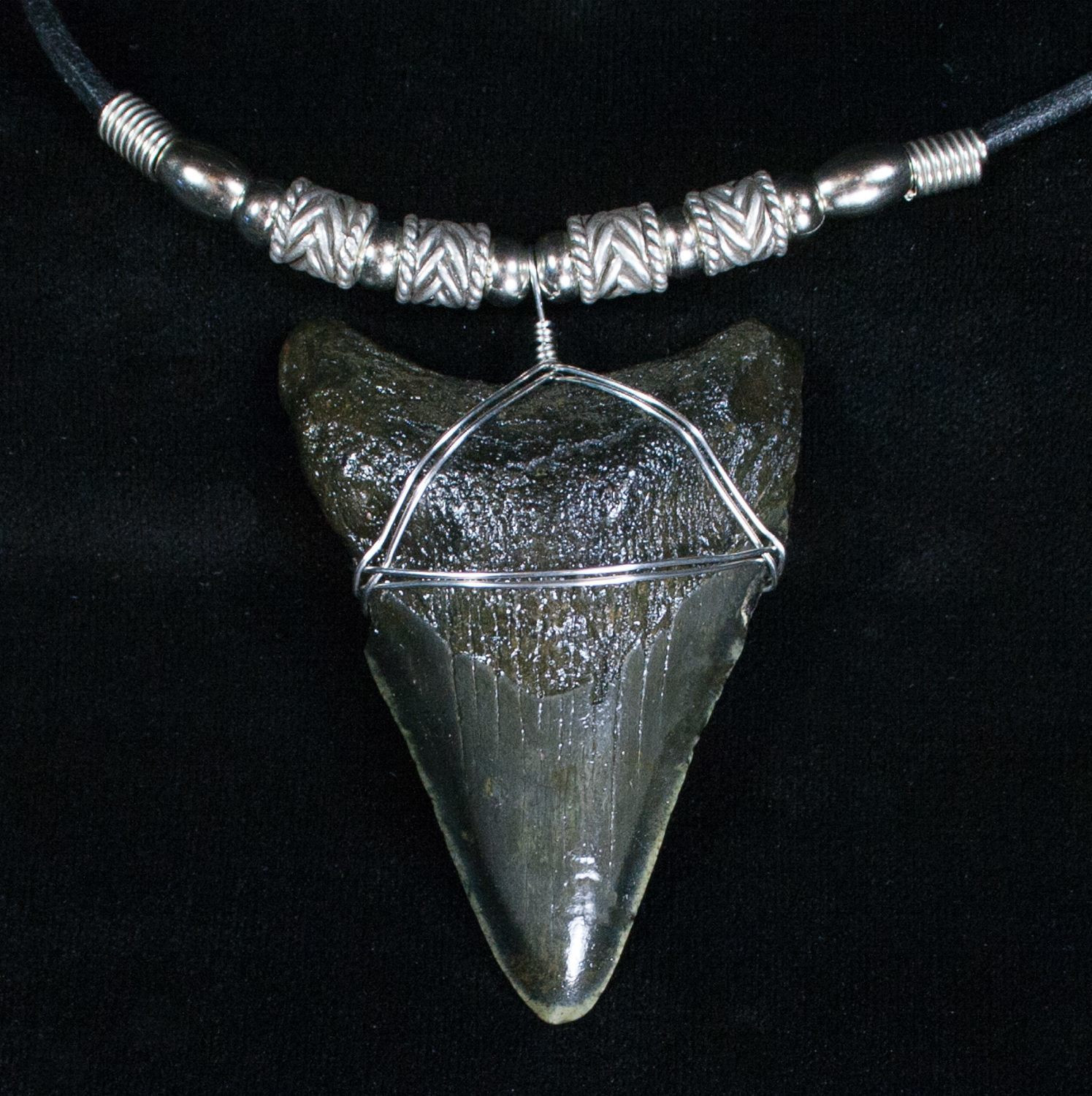 Megalodon Tooth Necklace
 Megalodon Tooth Necklace For Sale 4045 FossilEra