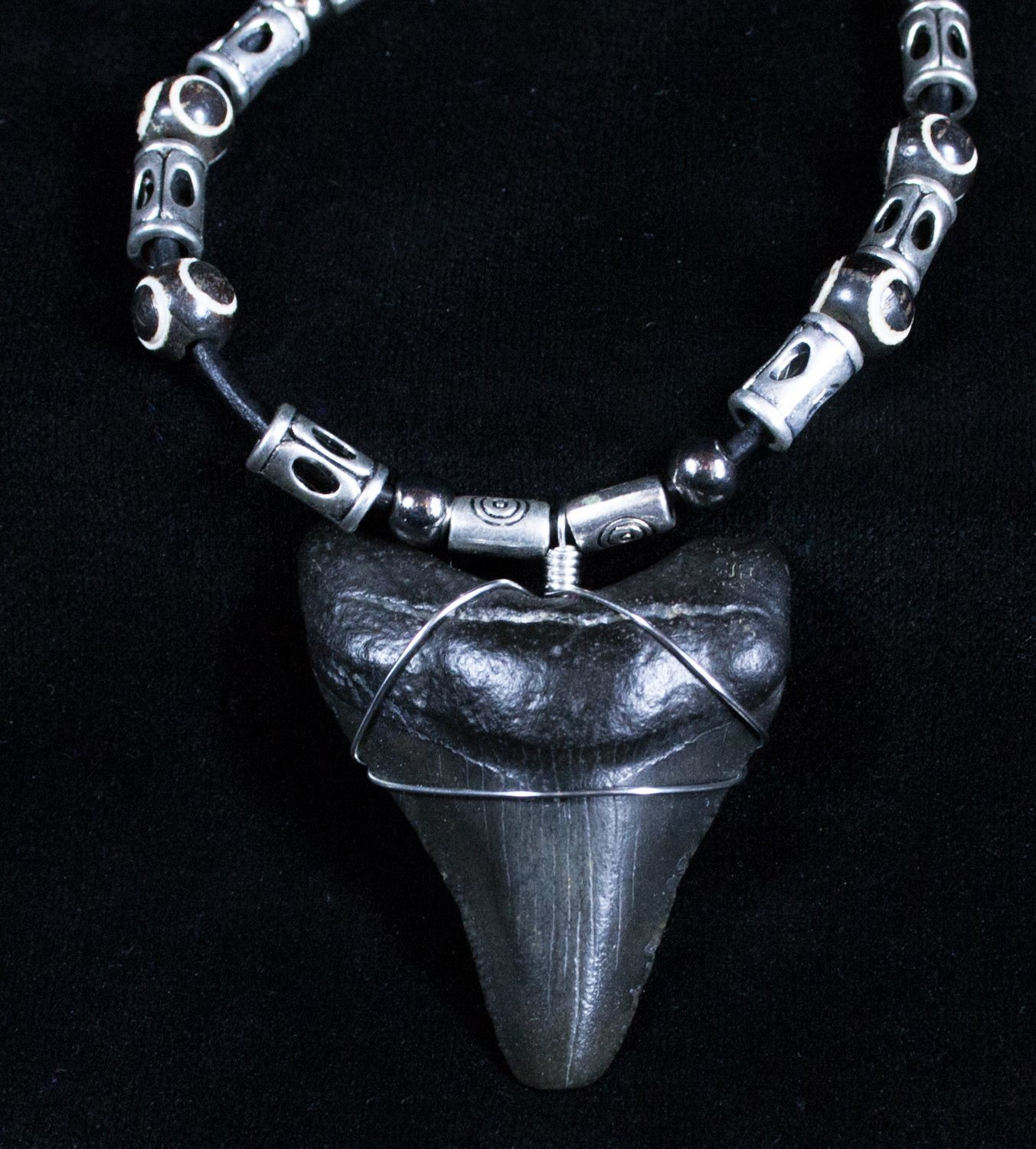 Megalodon Tooth Necklace
 2 Inch Megalodon Tooth Necklace For Sale 2921