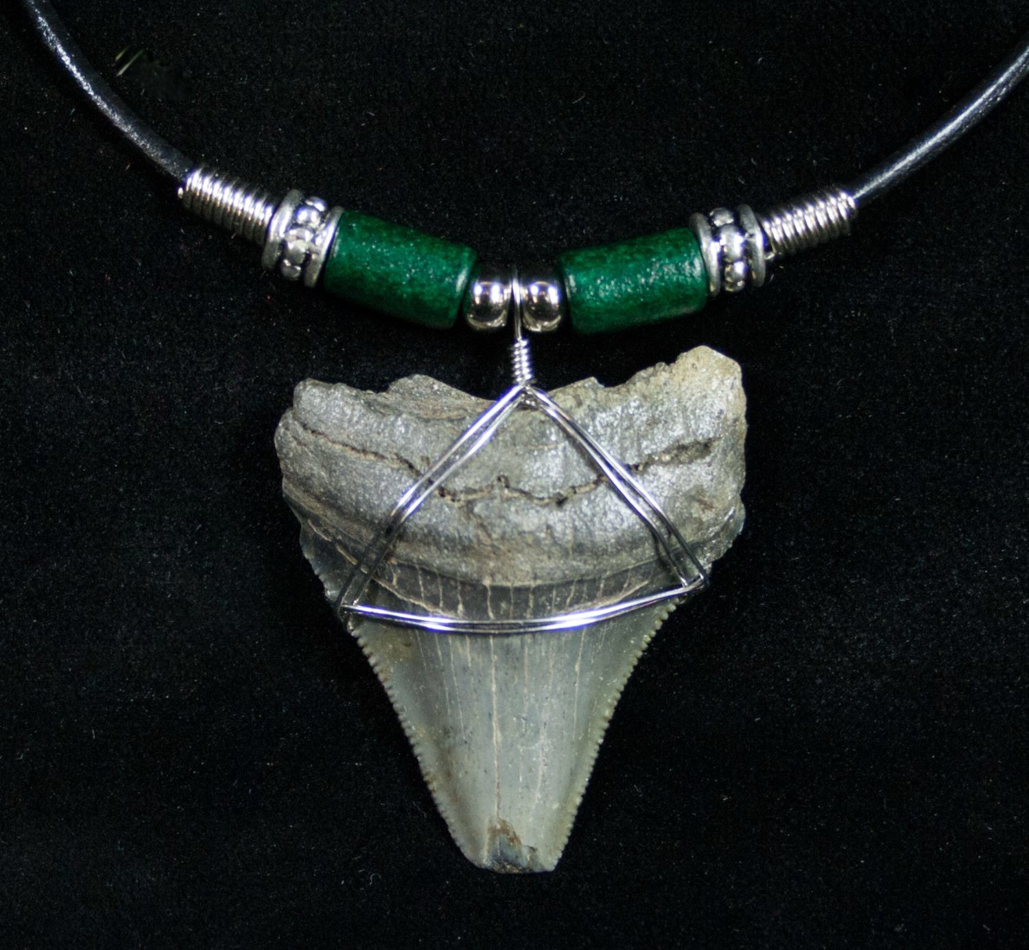 Megalodon Tooth Necklace
 1 5" Megalodon Tooth Necklace For Sale 9944 FossilEra