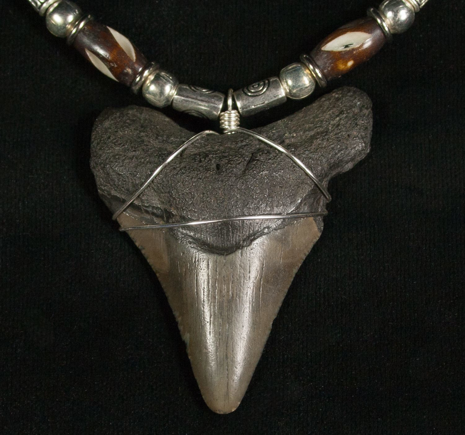 Megalodon Tooth Necklace
 Megalodon Tooth Necklace 2" tooth For Sale 5570