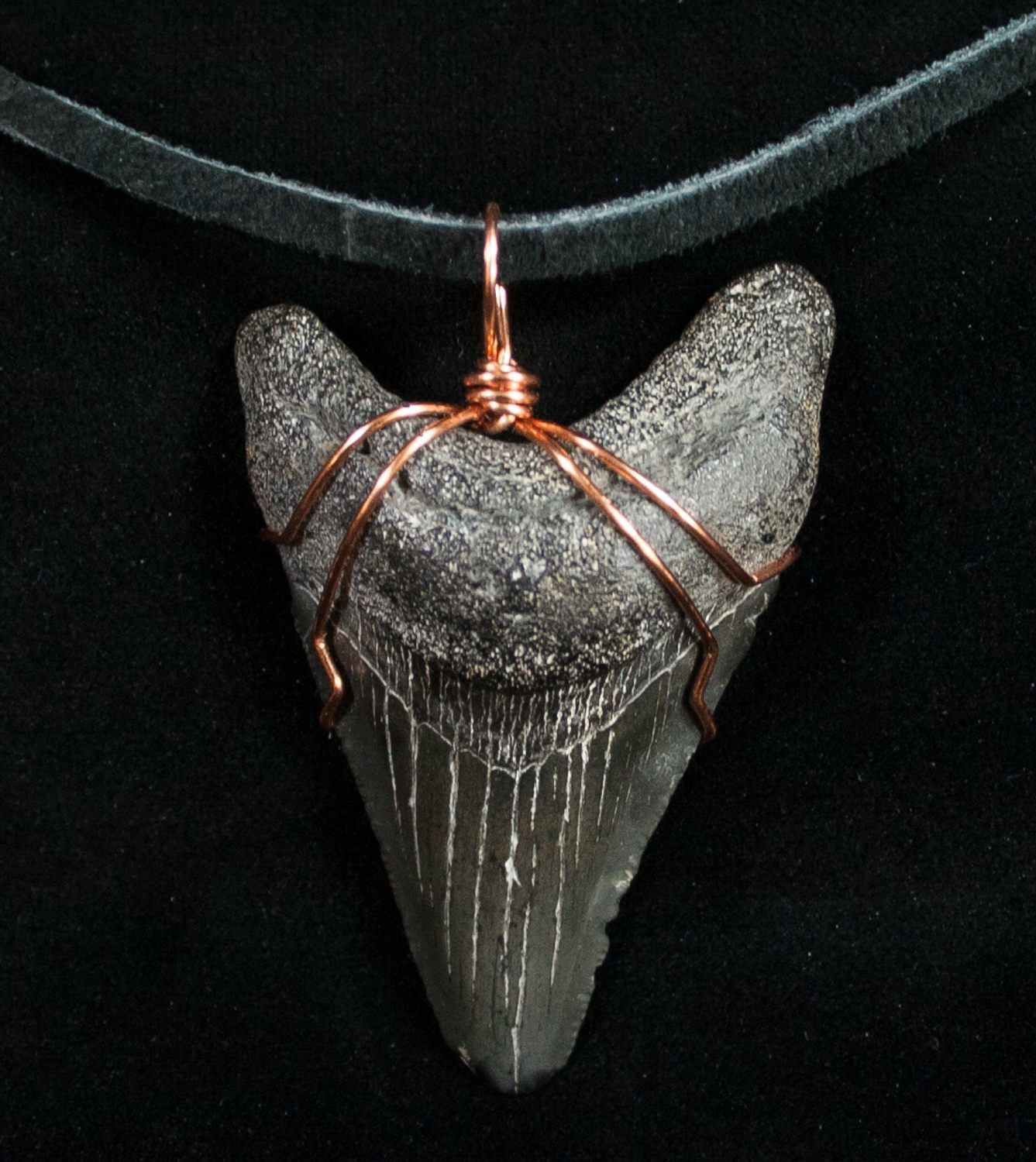 Megalodon Tooth Necklace
 2 3" Black Megalodon Tooth Necklace For Sale