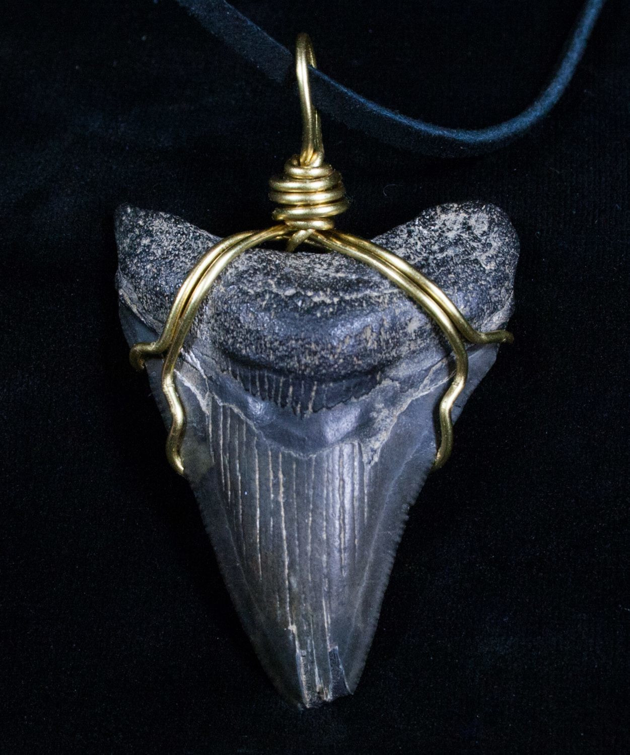 Megalodon Tooth Necklace
 Wire Wrapped Megalodon Tooth Necklace For Sale 4693