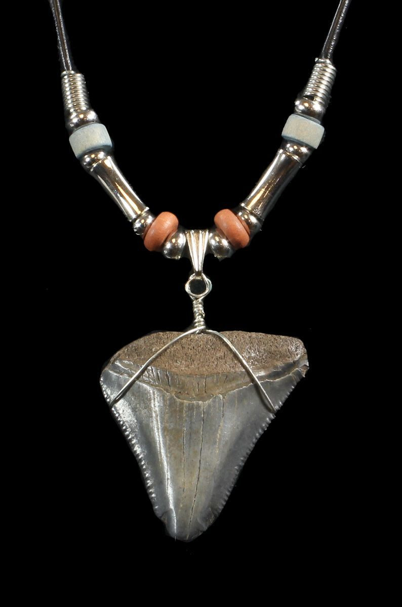 Megalodon Tooth Necklace
 1 5" Fossil Megalodon Tooth Necklace For Sale