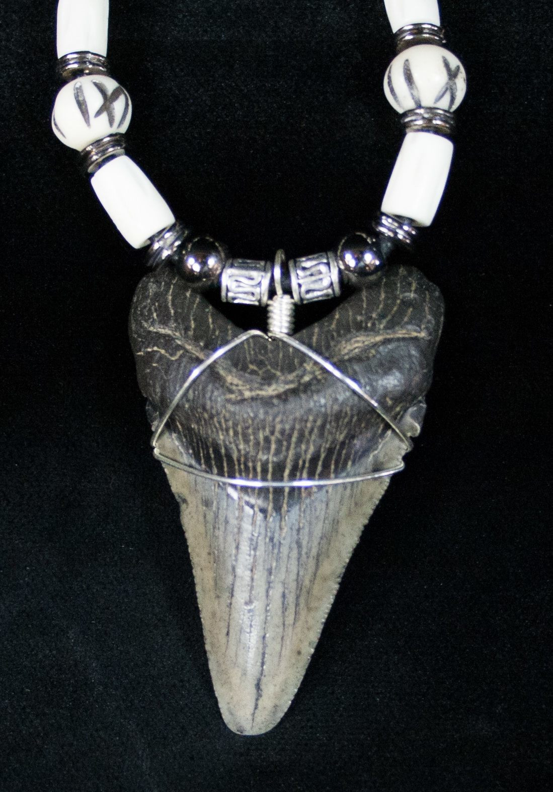 Megalodon Tooth Necklace
 2" Megalodon Tooth Necklace For Sale FossilEra