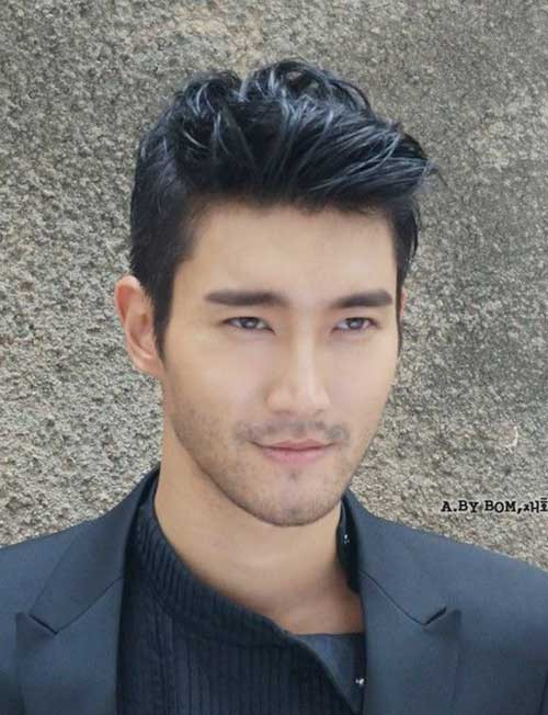 Mens Asian Hairstyle
 Asian Men Hairstyle Ideas