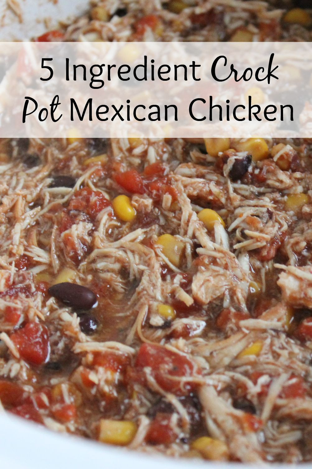 Mexican Recipes Chicken
 5 Ingre nt Crock Pot Mexican Chicken