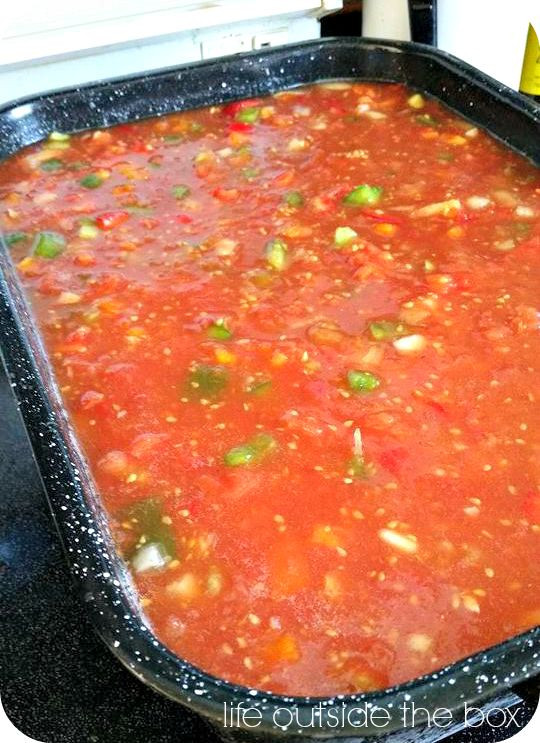Mexican Salsa Recipe For Canning
 Authentic Mexican Salsa Recipe 4 large cans diced tomatoes