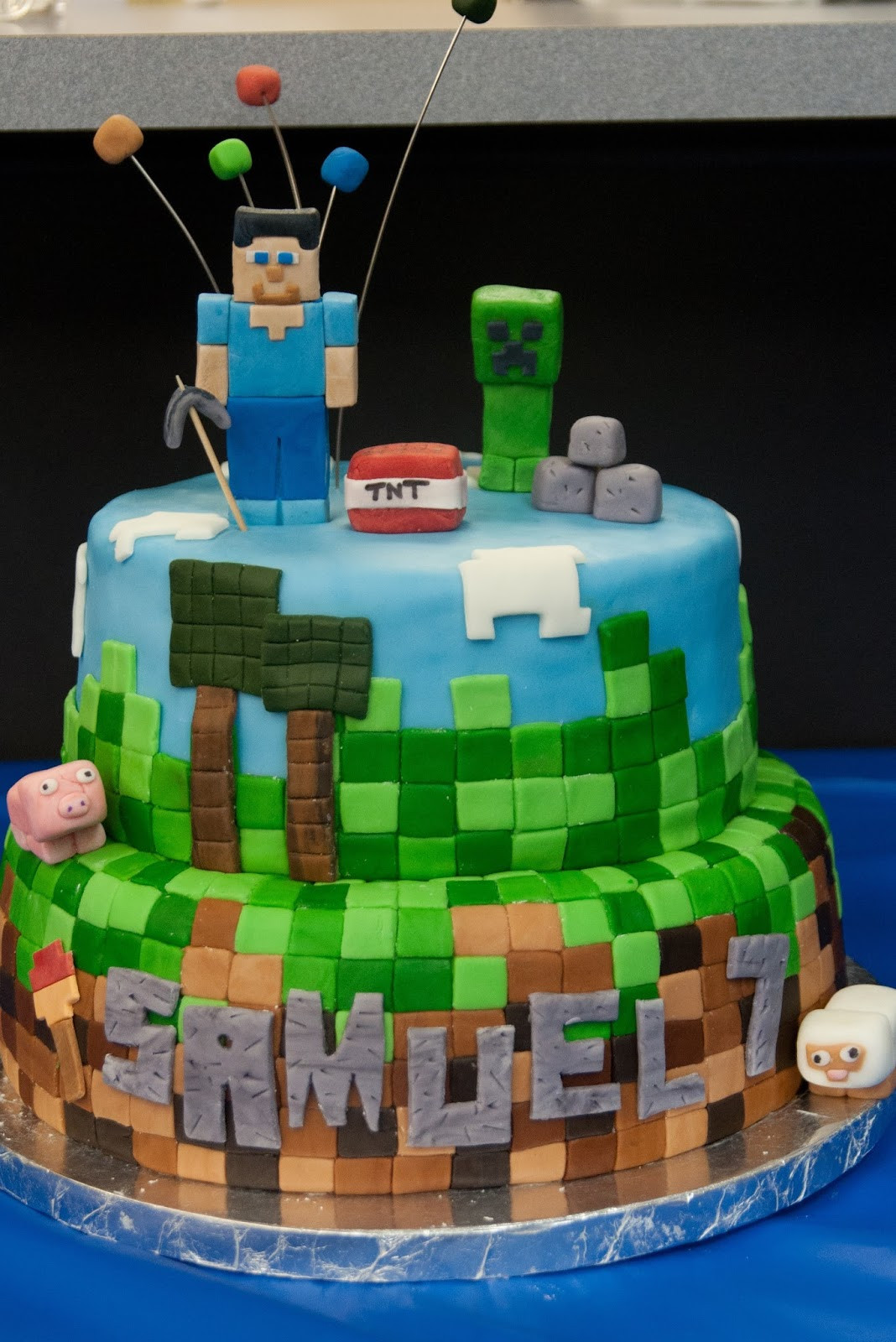 Minecraft Birthday Cake Ideas
 Pink Bluebonnet Minecraft Cake