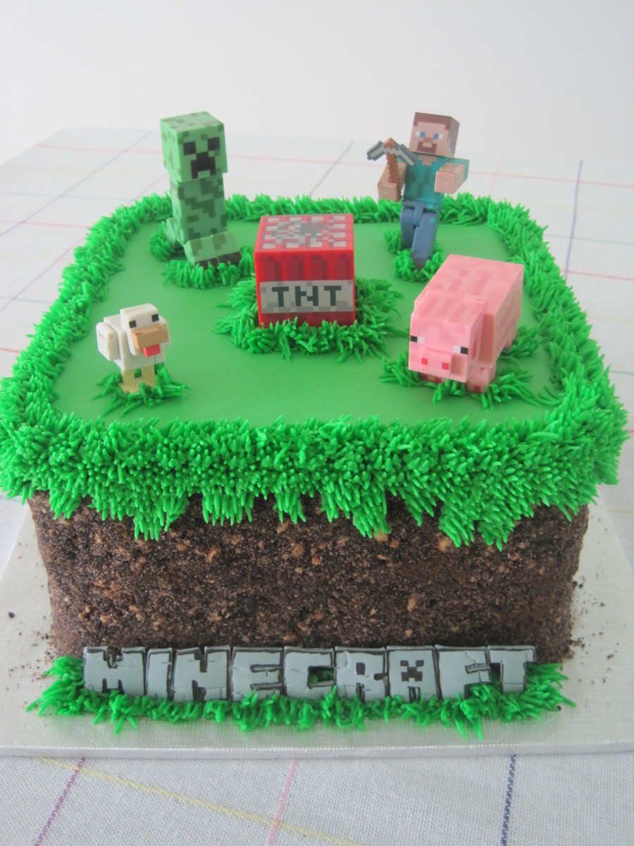 Minecraft Birthday Cake Ideas
 The 30 Best Birthday Cakes for Boys – My Cake Recipes