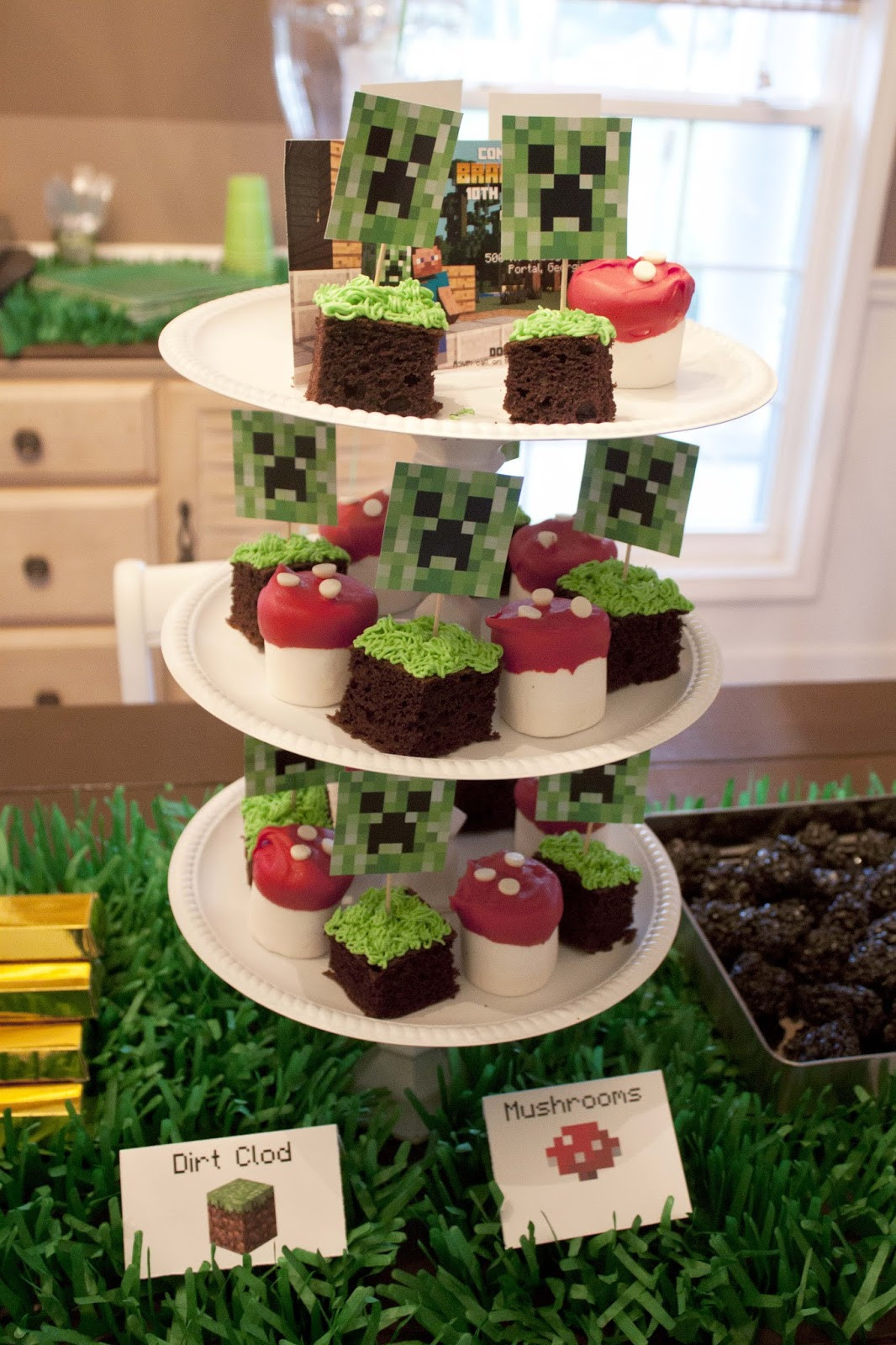 Minecraft Decorations For Birthday Party
 DIY Minecraft Birthday Party craft ideas party favors