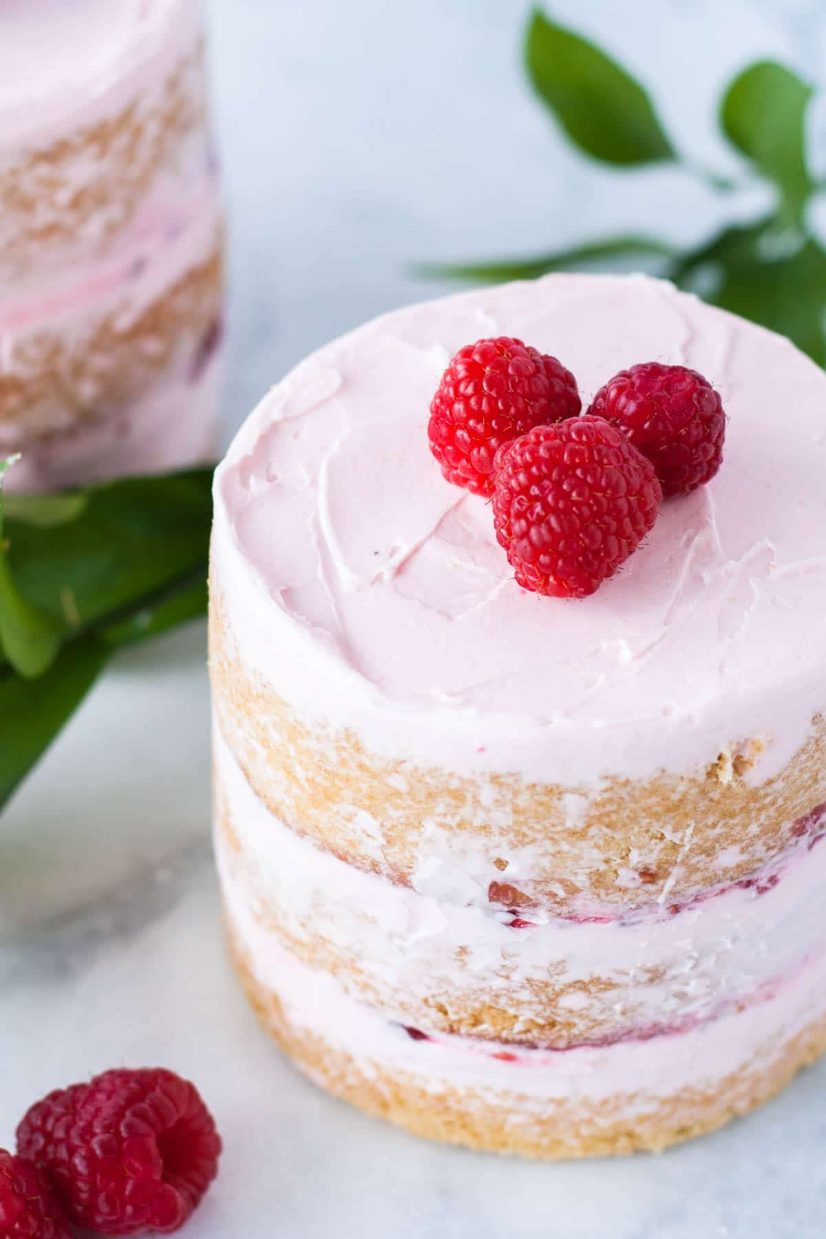Mini Birthday Cake Recipes
 Raspberry Vanilla Mini Cakes Liv for Cake