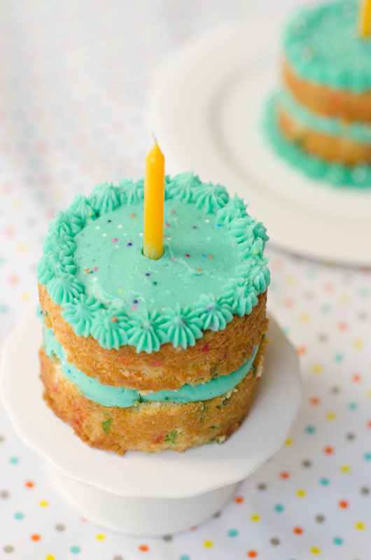 Mini Birthday Cake Recipes
 Mini Funfetti Birthday Cakes