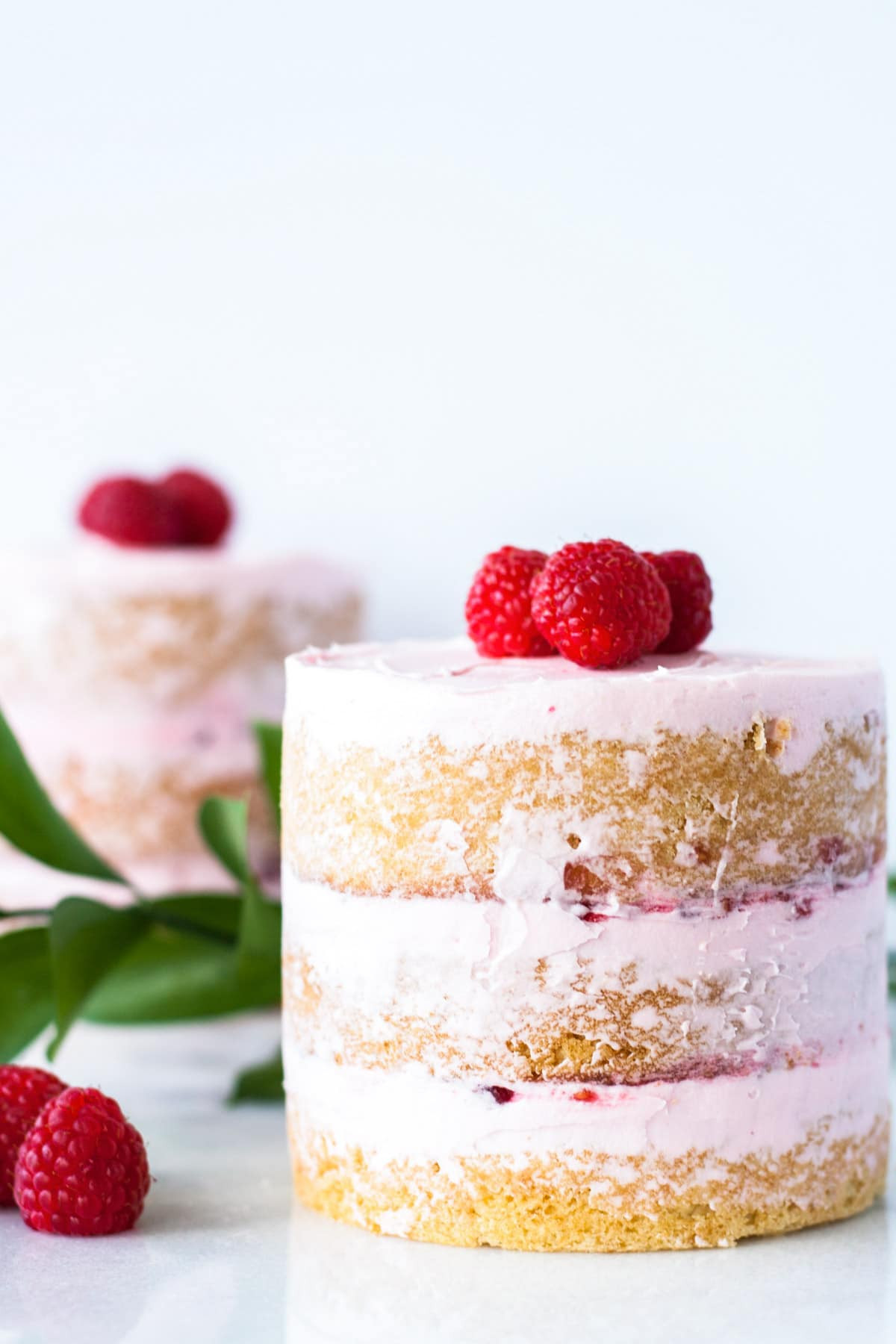Mini Birthday Cake Recipes
 Raspberry Vanilla Mini Cakes