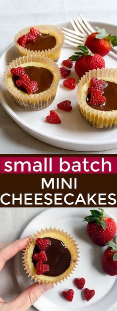 Mini Cheesecake Recipe With Graham Cracker Crust
 Mini Cheesecakes with Graham Cracker Crust small batch